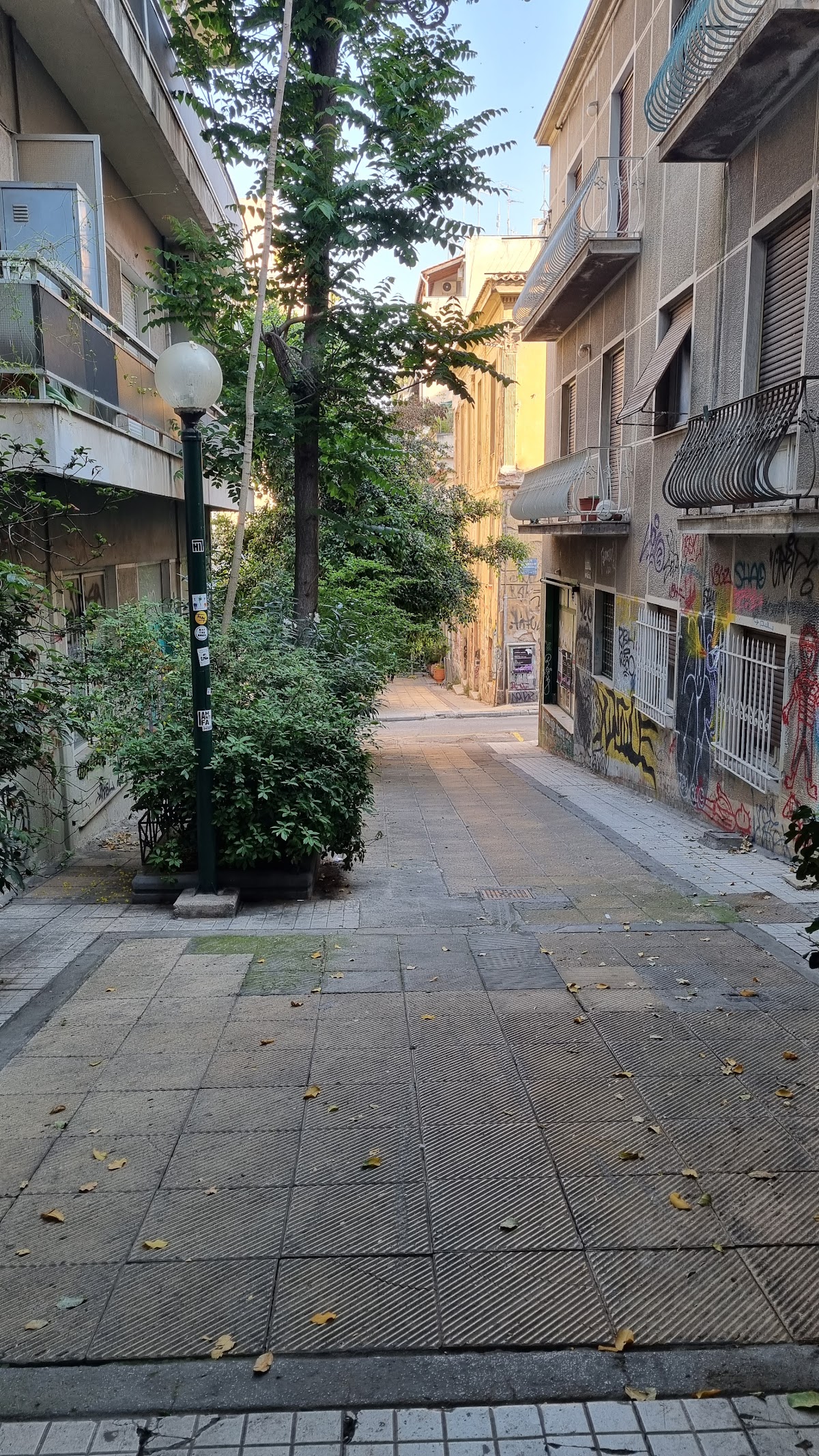Athens Quinta, Athens