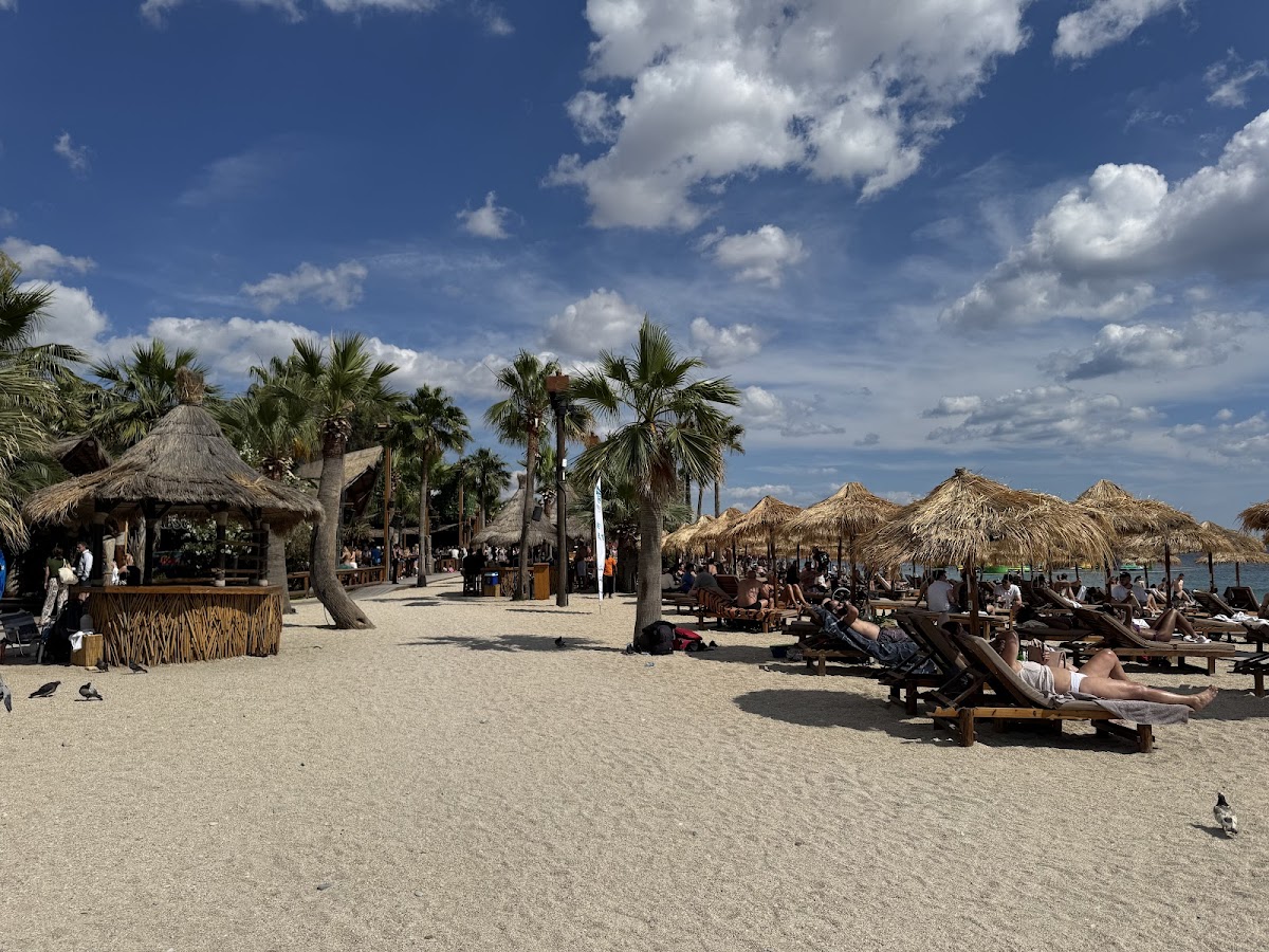 Bolivar Beach Club — photo 2